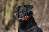 BEAUCERON 989